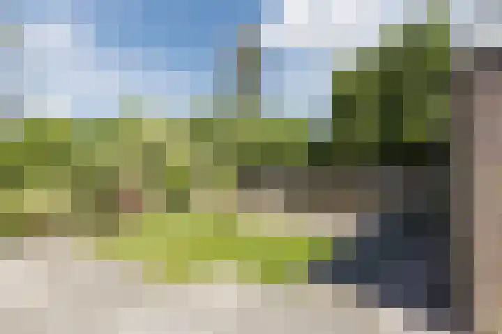 Vlaskamp 18 Hoogeveen thumbnail 50