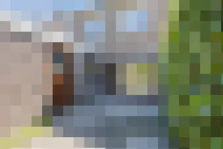 Vlaskamp 18 Hoogeveen thumbnail 51