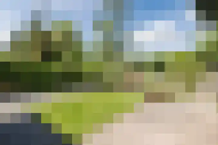 Vlaskamp 18 Hoogeveen thumbnail 52