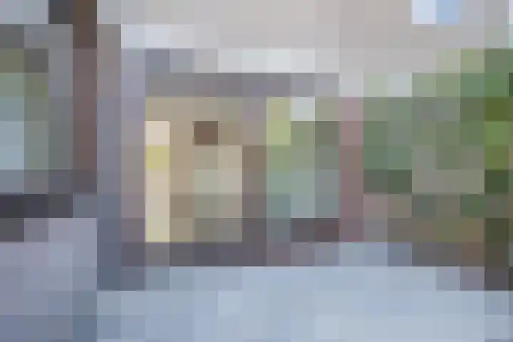 Vlaskamp 18 Hoogeveen thumbnail 56