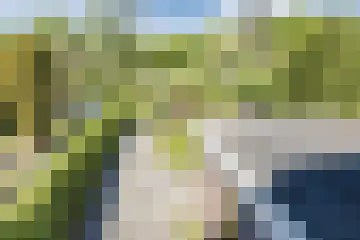 Vlaskamp 18 Hoogeveen thumbnail 58