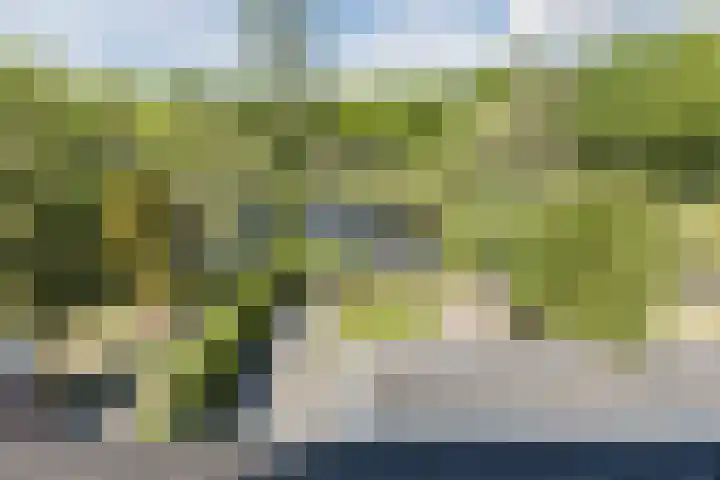 Vlaskamp 18 Hoogeveen thumbnail 59