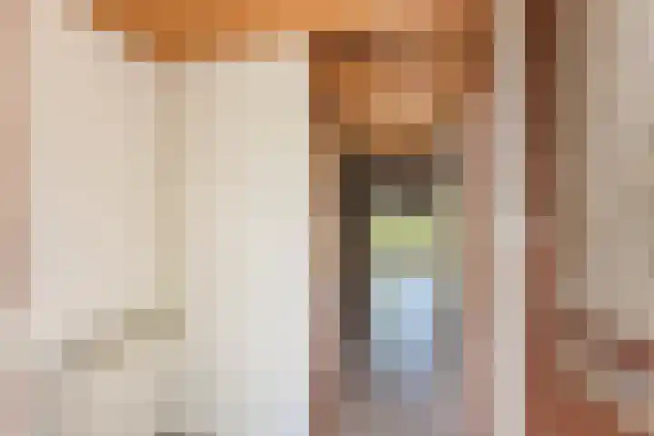 Vlaskamp 18 Hoogeveen thumbnail 6