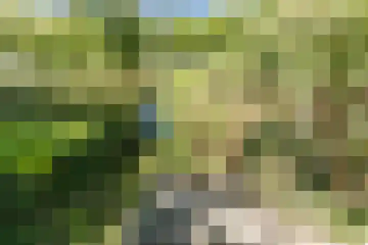 Vlaskamp 18 Hoogeveen thumbnail 60