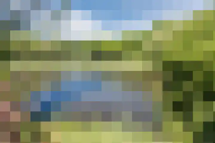 Vlaskamp 18 Hoogeveen thumbnail 61