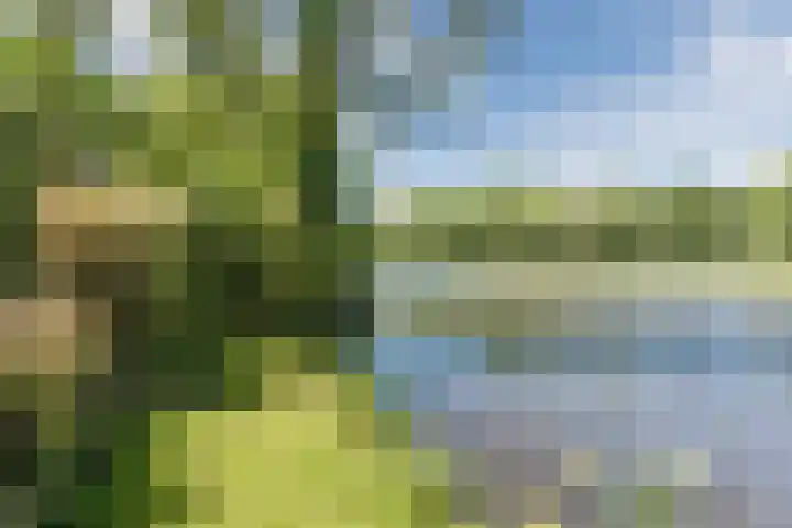 Vlaskamp 18 Hoogeveen thumbnail 63