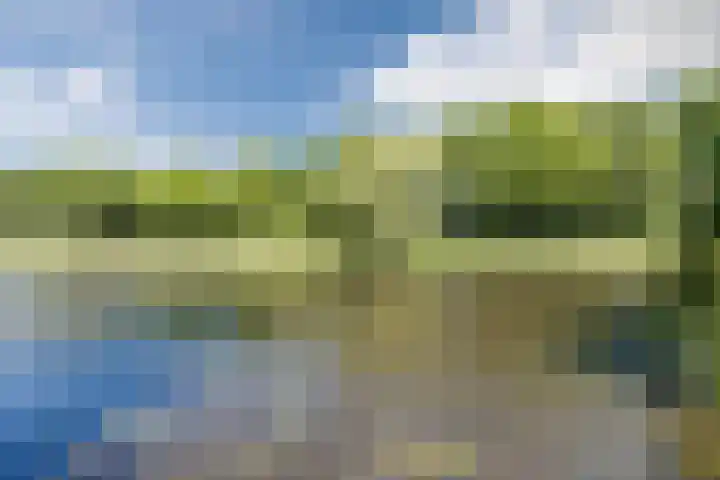 Vlaskamp 18 Hoogeveen thumbnail 64