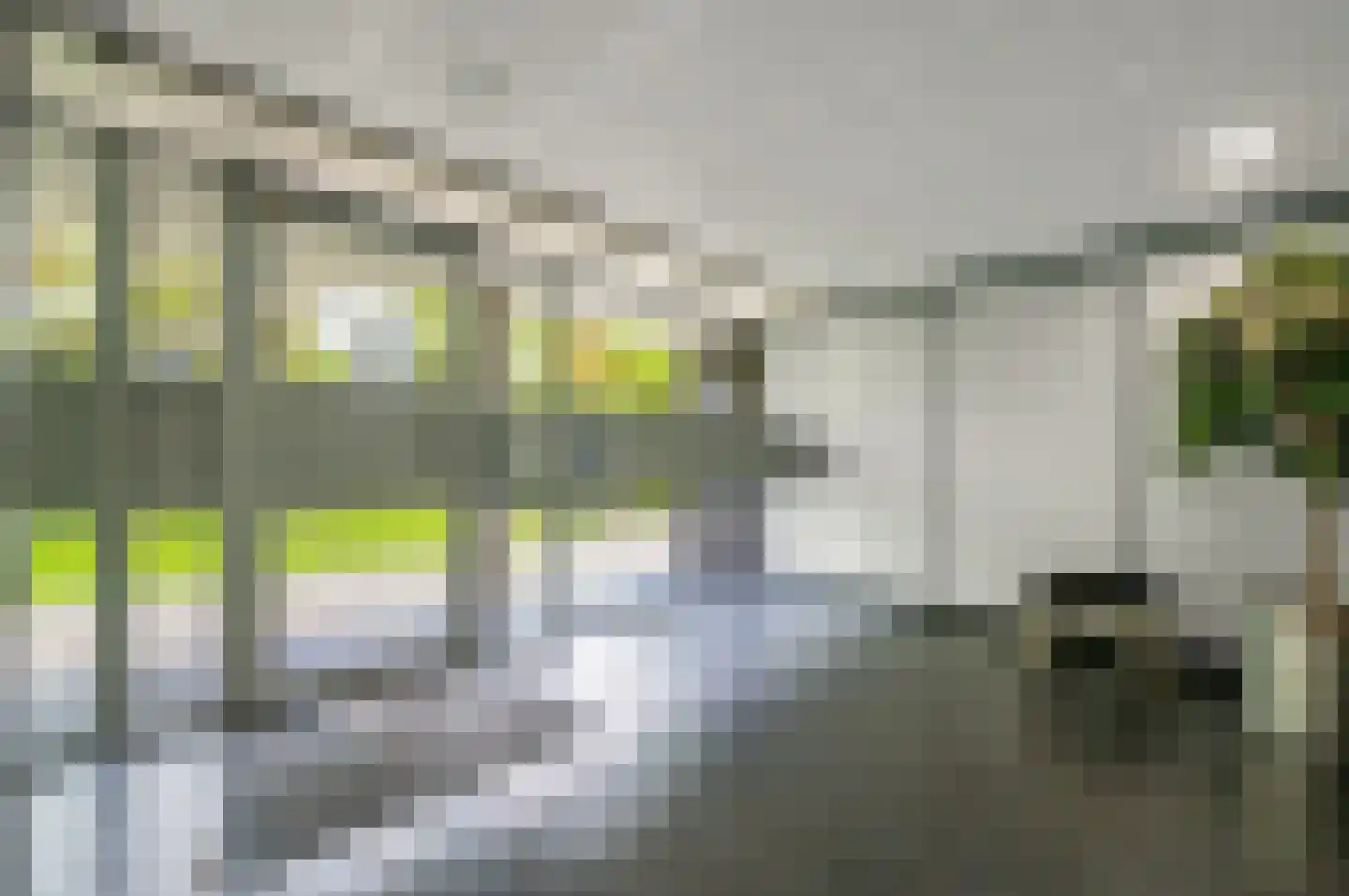 Vlaskamp 214 Den Haag thumbnail 8