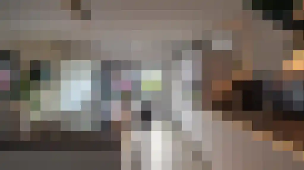 Vlaskamp 22 Leiderdorp thumbnail 11