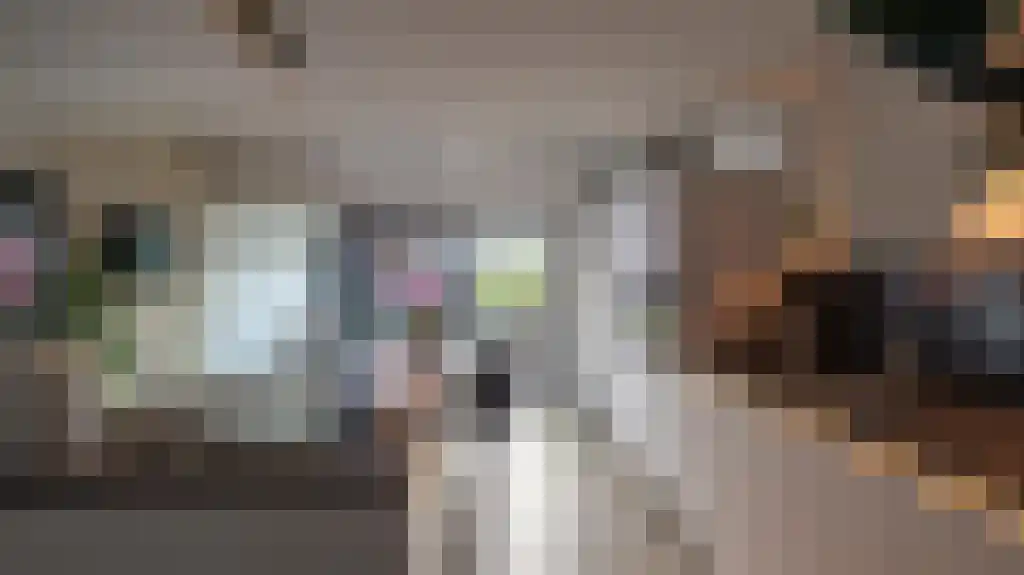 Vlaskamp 22 Leiderdorp thumbnail 5