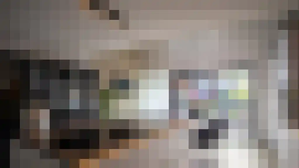 Vlaskamp 22 Leiderdorp thumbnail 6