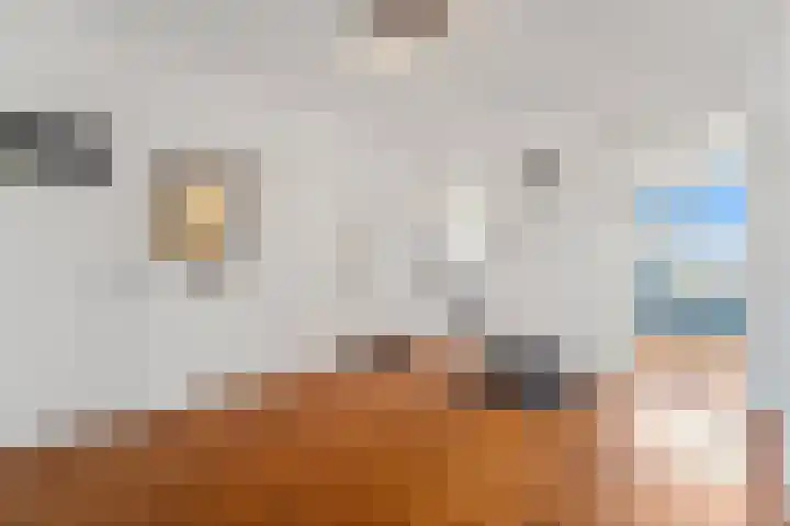 Vlaskamp 224 Den Haag thumbnail 12