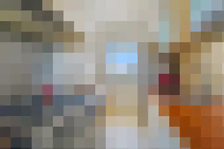 Vlaskamp 224 Den Haag thumbnail 13
