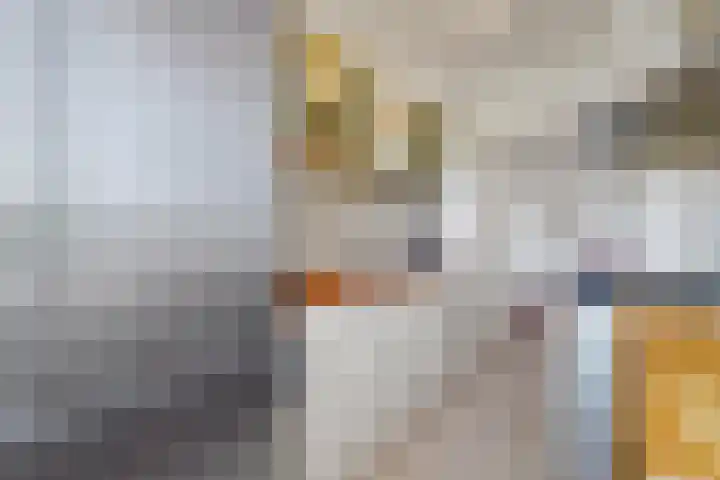 Vlaskamp 224 Den Haag thumbnail 14