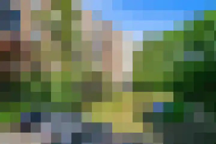 Vlaskamp 224 Den Haag thumbnail 26