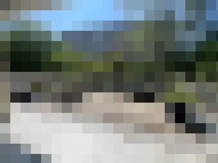 Vlaskamp 242 Den Haag thumbnail 17