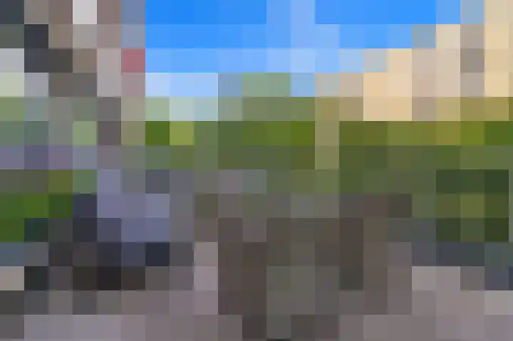Vlaskamp 242 Den Haag thumbnail 18