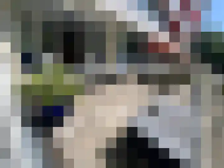 Vlaskamp 242 Den Haag thumbnail 19