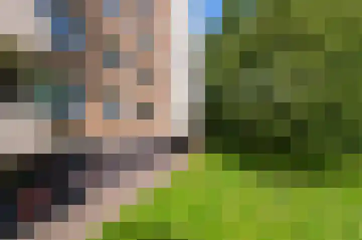 Vlaskamp 242 Den Haag thumbnail 32