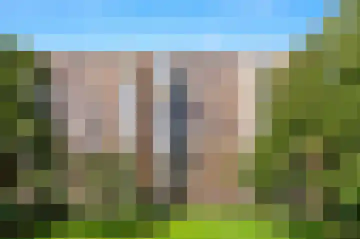 Vlaskamp 242 Den Haag thumbnail 41