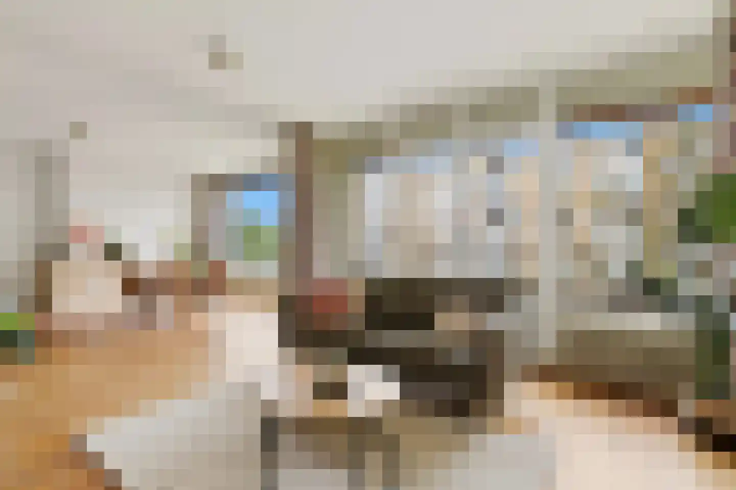 Vlaskamp 248 Den Haag thumbnail 10