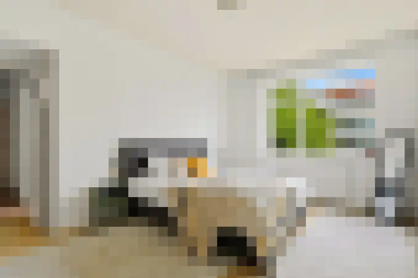 Vlaskamp 248 Den Haag thumbnail 19