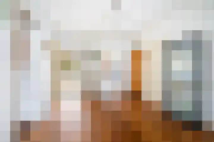 Vlaskamp 326 Den Haag thumbnail 17