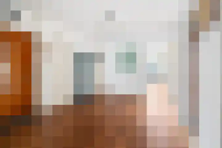 Vlaskamp 326 Den Haag thumbnail 7