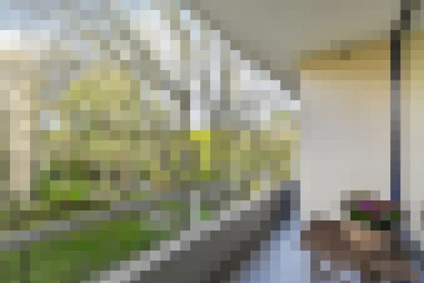 Vlaskamp 390 Den Haag thumbnail 24