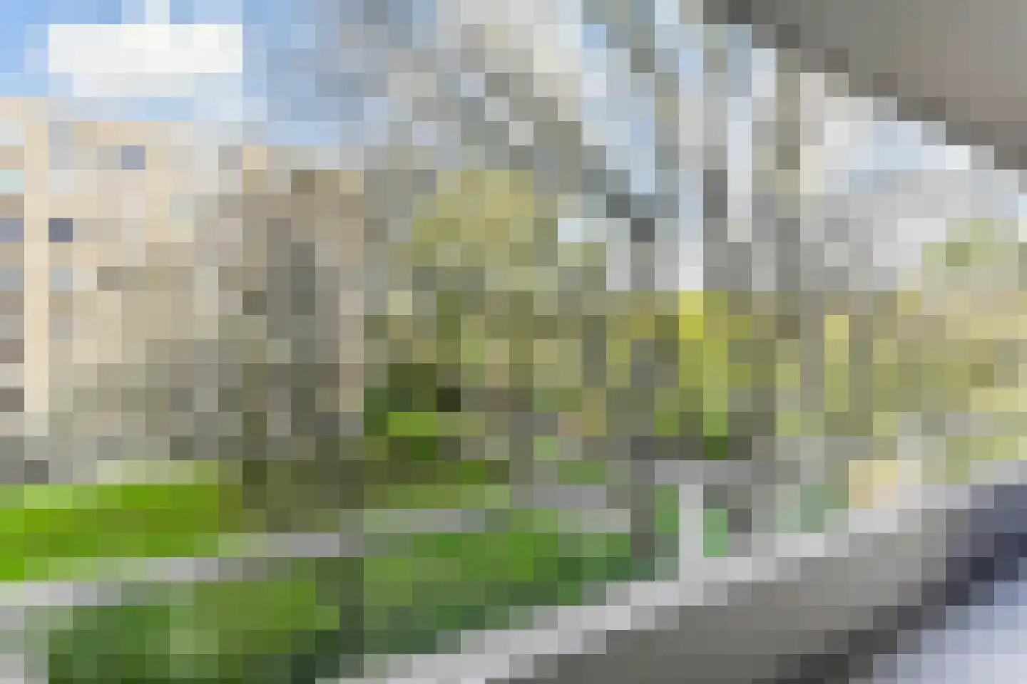 Vlaskamp 390 Den Haag thumbnail 25