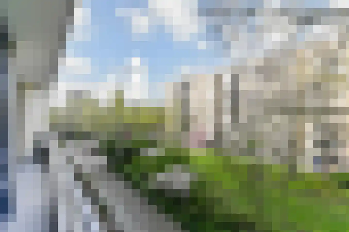 Vlaskamp 390 Den Haag thumbnail 26