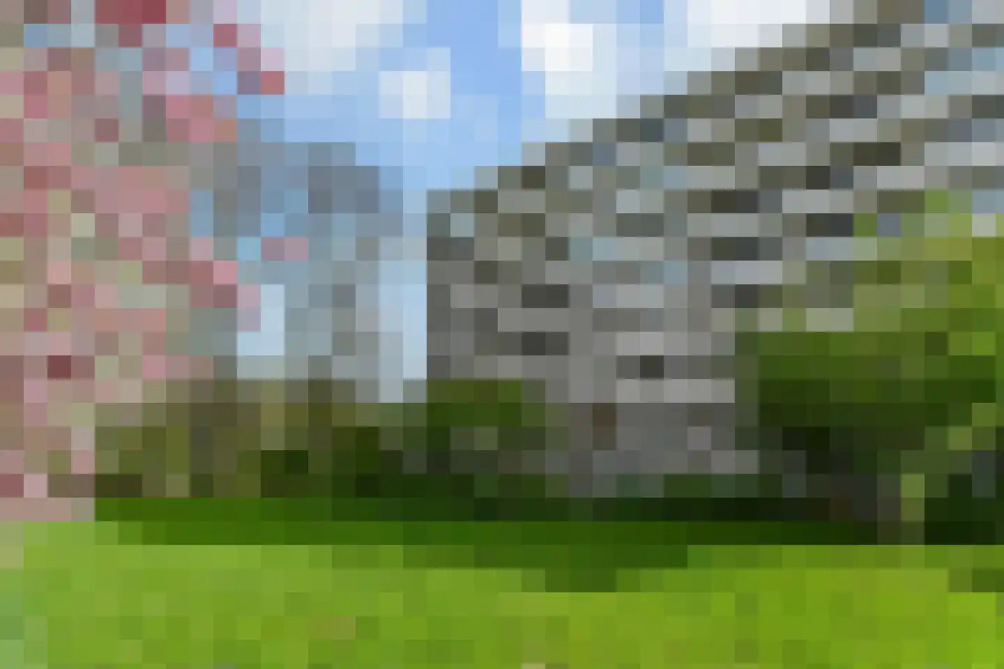 Vlaskamp 390 Den Haag thumbnail 6
