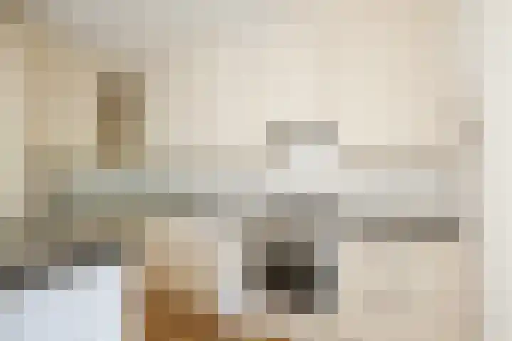 Vlaskamp 4 Hoogeveen thumbnail 11
