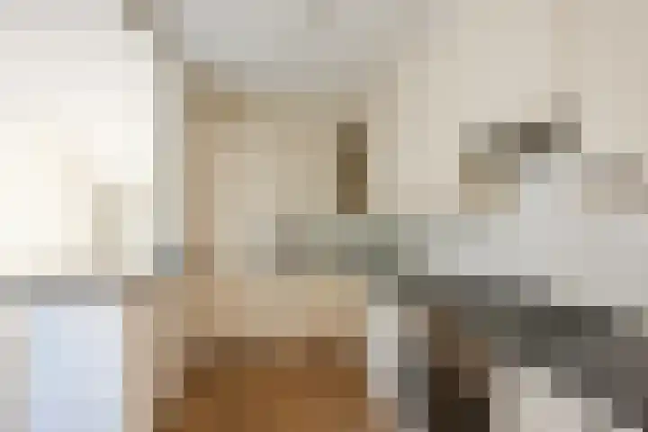 Vlaskamp 4 Hoogeveen thumbnail 12