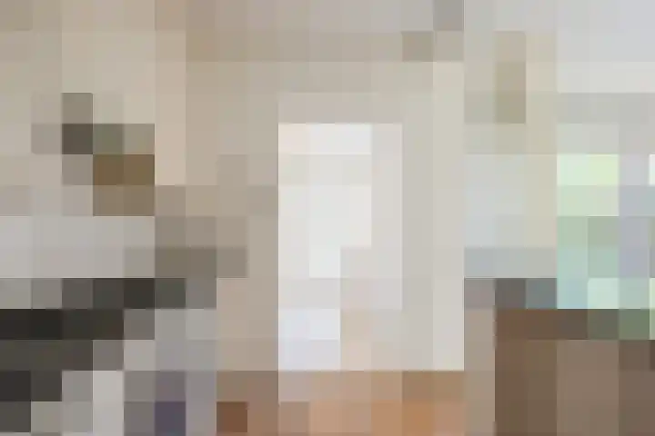 Vlaskamp 4 Hoogeveen thumbnail 13