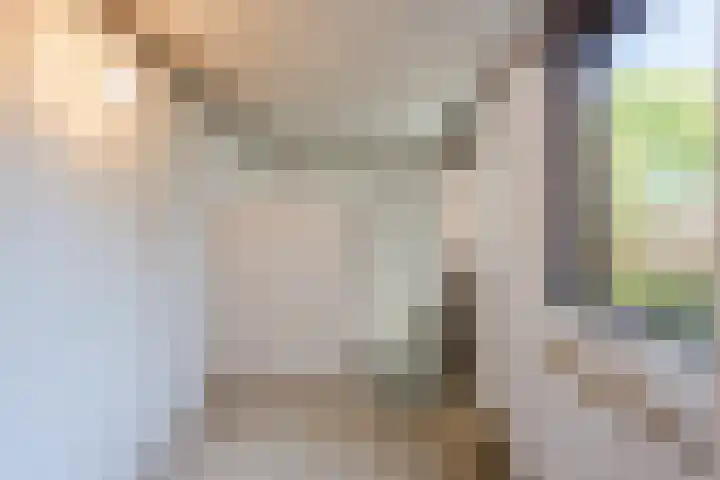 Vlaskamp 4 Hoogeveen thumbnail 14
