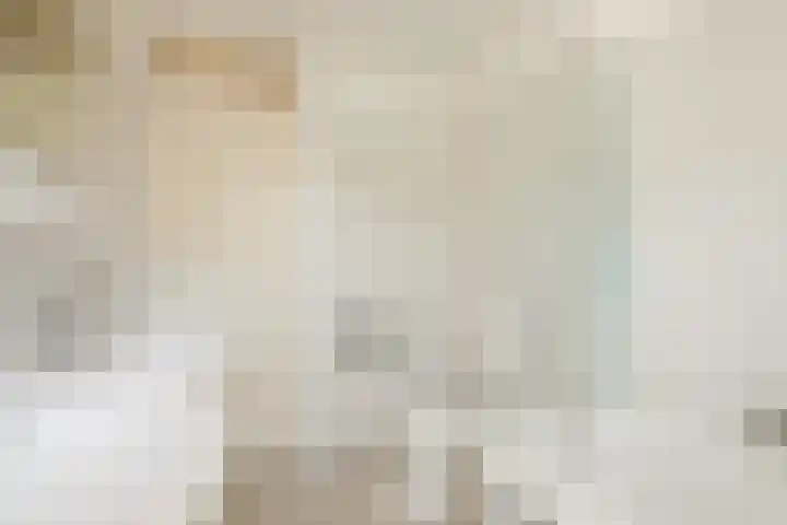 Vlaskamp 4 Hoogeveen thumbnail 21