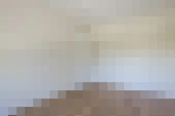 Vlaskamp 4 Hoogeveen thumbnail 24