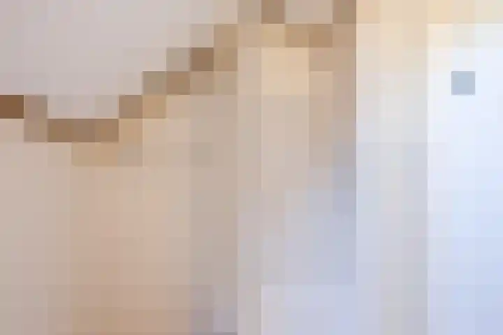 Vlaskamp 4 Hoogeveen thumbnail 30