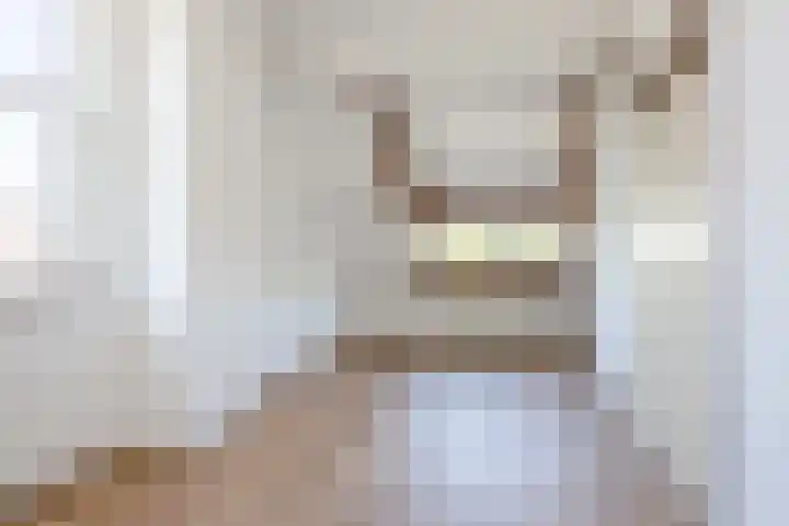 Vlaskamp 4 Hoogeveen thumbnail 32