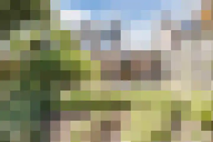 Vlaskamp 4 Hoogeveen thumbnail 35