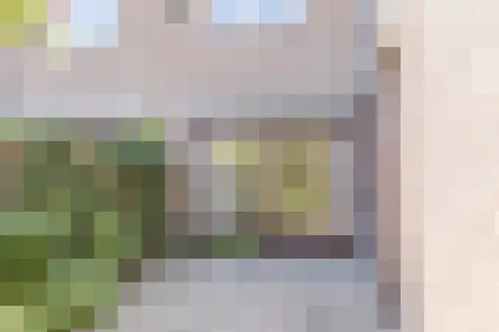 Vlaskamp 4 Hoogeveen thumbnail 36