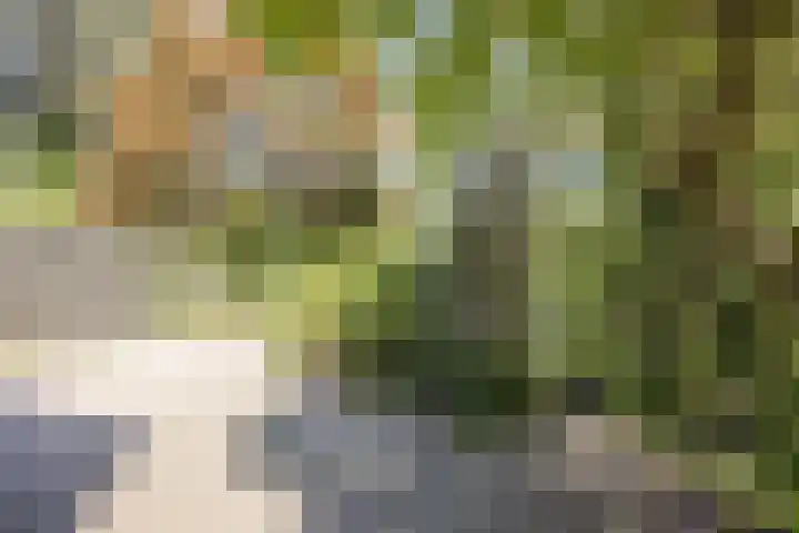 Vlaskamp 4 Hoogeveen thumbnail 38