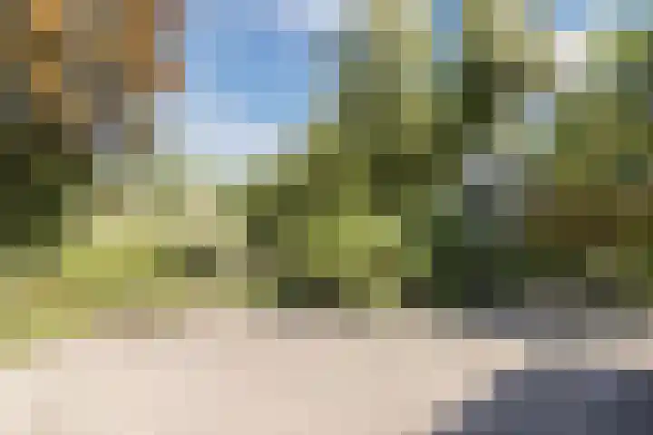 Vlaskamp 4 Hoogeveen thumbnail 39
