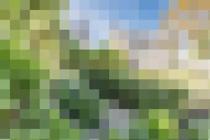 Vlaskamp 4 Hoogeveen thumbnail 40