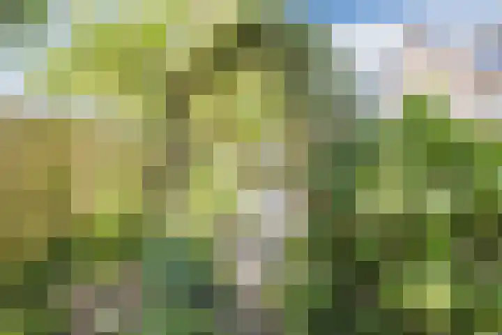 Vlaskamp 4 Hoogeveen thumbnail 41