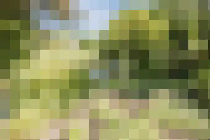 Vlaskamp 4 Hoogeveen thumbnail 42
