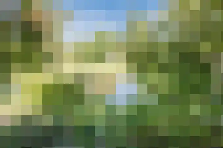 Vlaskamp 4 Hoogeveen thumbnail 43