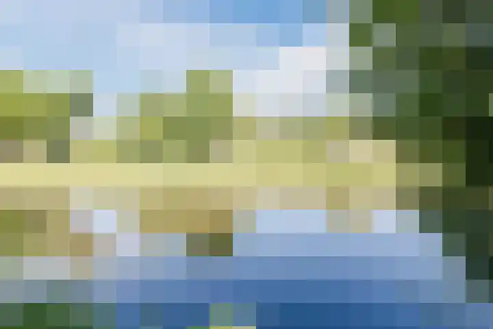 Vlaskamp 4 Hoogeveen thumbnail 44