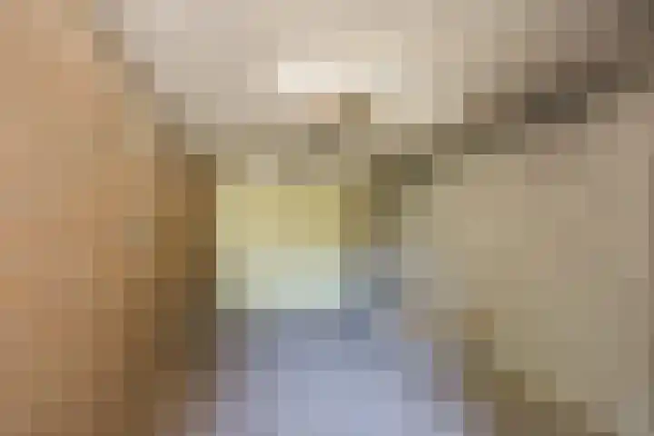 Vlaskamp 4 Hoogeveen thumbnail 46